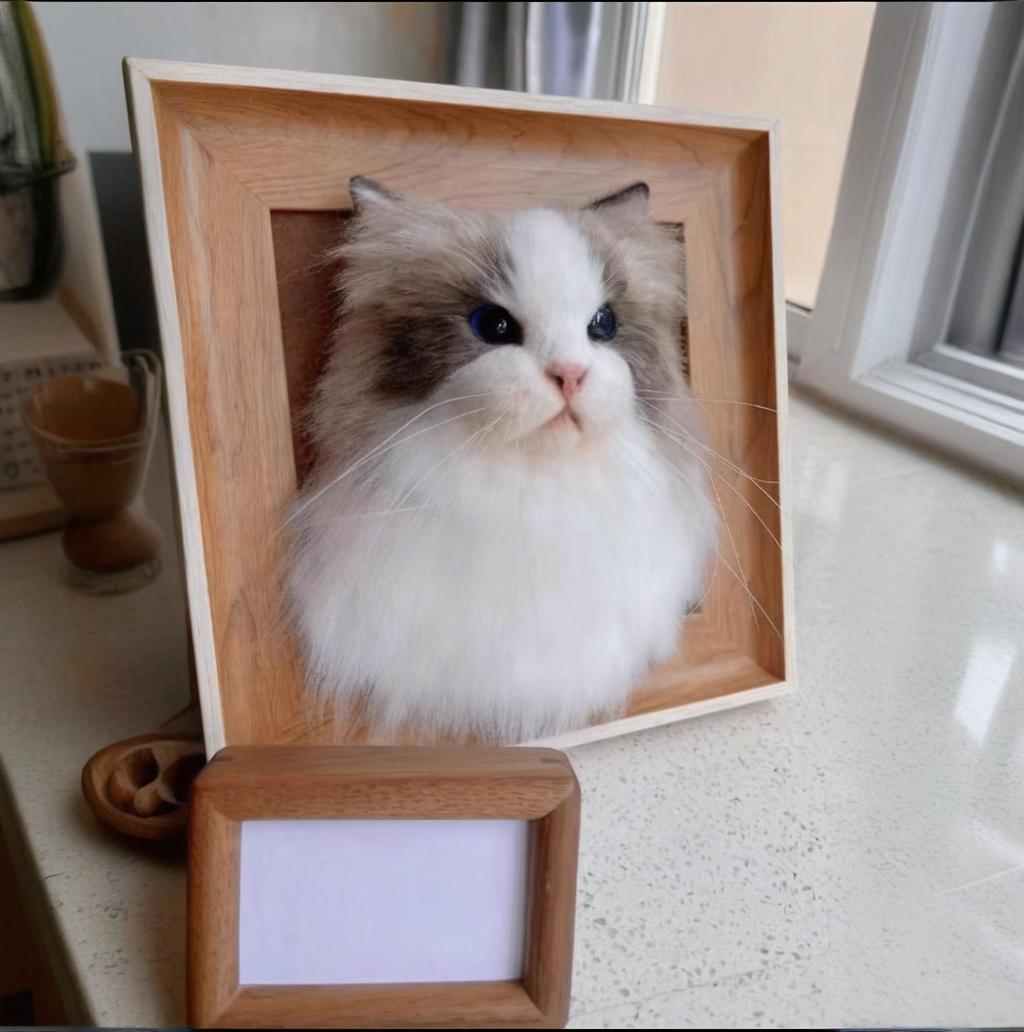 Photo frame(Head only)