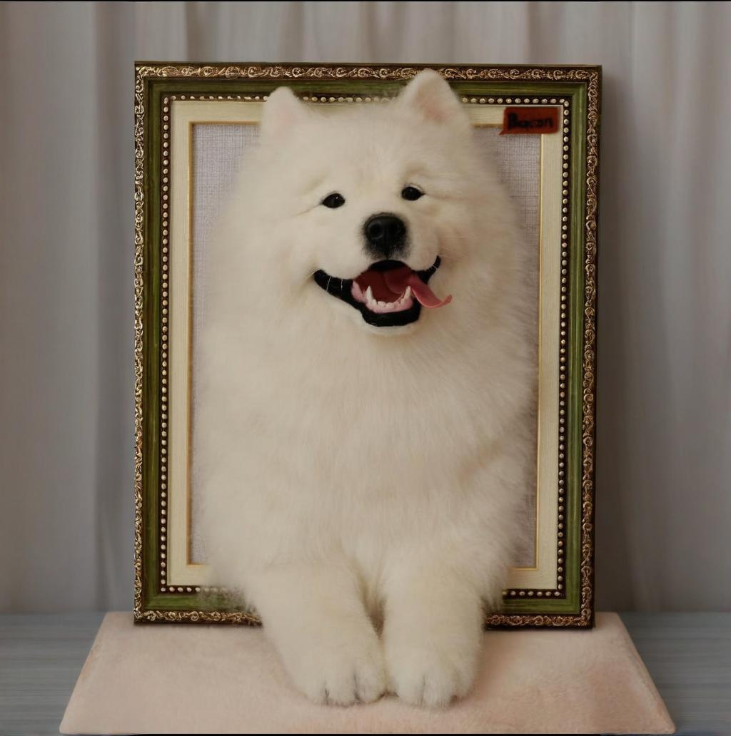 Photo frame(Half body)